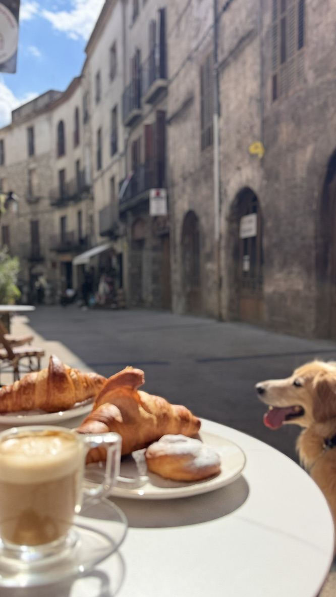 Cappuccino & filled croissant