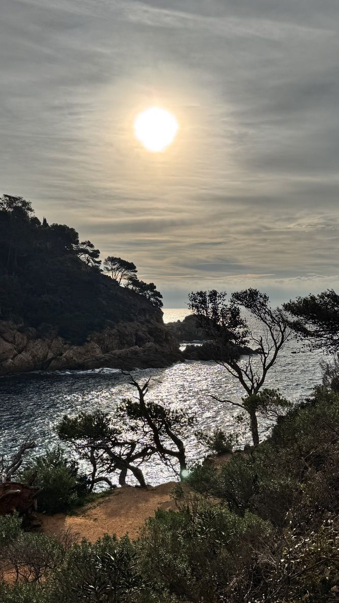 Wild sun above the Costa Brava cove