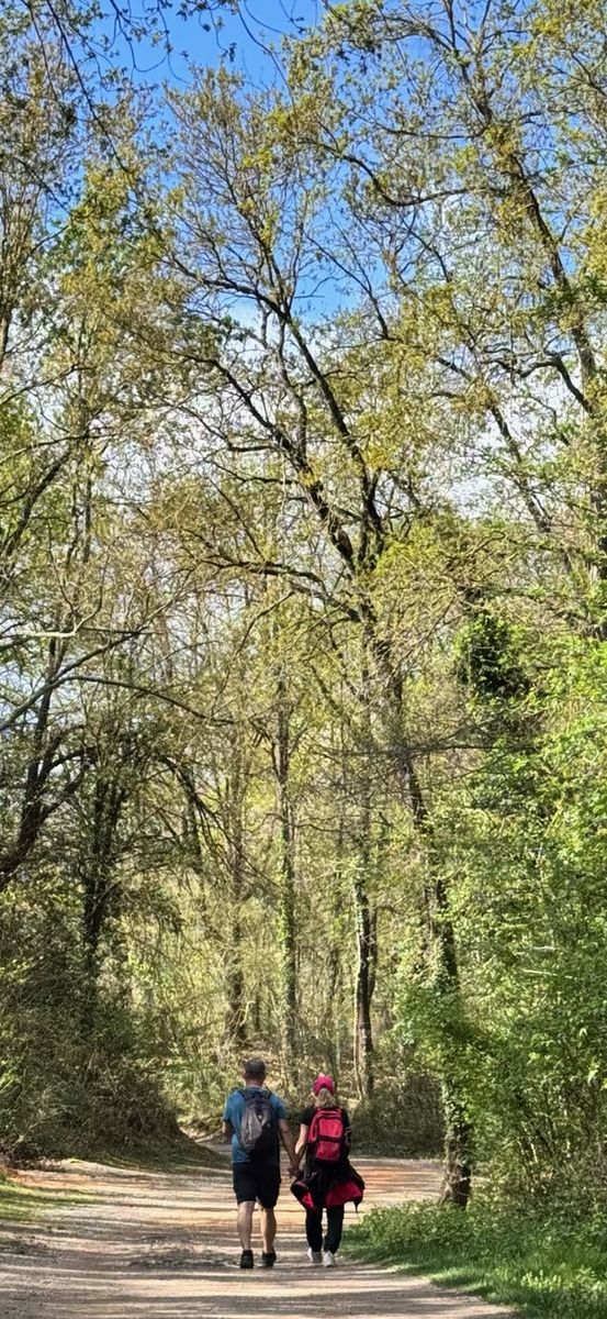 Two of us, one trail, endless forest