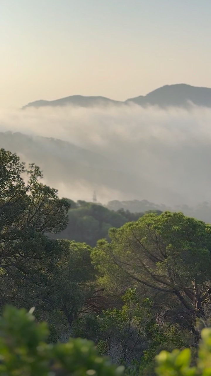 Misty Catalan valley at dawn